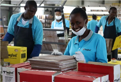 在肯尼亞，我們有一個中肯齊心合力的團隊